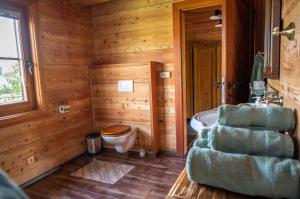 baño de madera con aseo y lavamanos en Roubenka pod Jakubem, en Kunžak