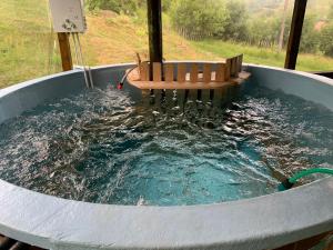 Swimmingpoolen hos eller tæt på Camping sauna masaj ciubar