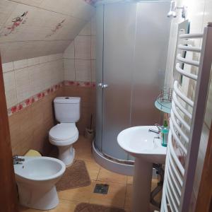 ラーゼシュチュナにあるМальваのバスルーム(シャワー、トイレ、シンク付)