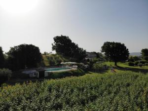 een tuin met een zwembad en een bloemenveld bij I Magnoni in Pergola