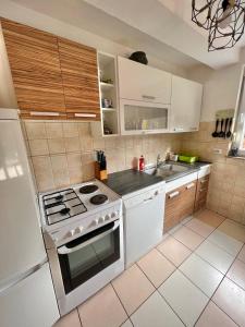 a kitchen with a stove and a sink at Holiday Homer Vila na Obali Vrbasa in Banja Luka +39 photos