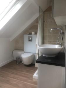 a bathroom with a sink and a toilet at Gite équestre du Dourdu in Lopérec +21 photos