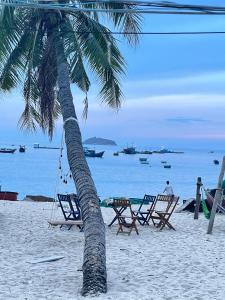 2 Stühle und eine Palme am Strand in der Unterkunft phòng mùa thu in Tuy Hoa