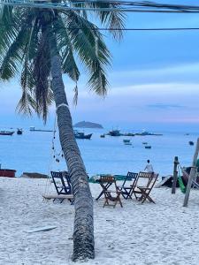 two chairs and a palm tree on a beach at phòng mùa thu in Tuy Hoa