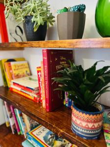 a shelf with books and a potted plant on it at Regina d’Aragona casa vacanze in Sulmona