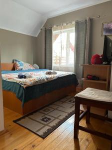 a bedroom with a bed and a window at Pensiune Daniela in Corbeni