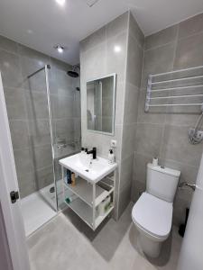 a bathroom with a toilet and a shower and a sink at Bonito piso a 300 m de Metro García Noblejas in Madrid