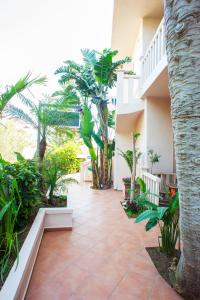 un patio con árboles y plantas en un edificio en Frideriki Studios & Apartments, en Plataniás