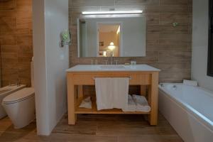 a bathroom with a sink and a tub and a toilet at Iguazu Jungle Lodge in Puerto Iguazú