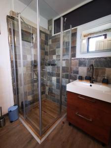 a bathroom with a shower and a sink at Landhaus Messerschmitt in Böchingen