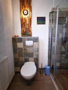 a bathroom with a toilet and a shower at Landhaus Messerschmitt in Böchingen