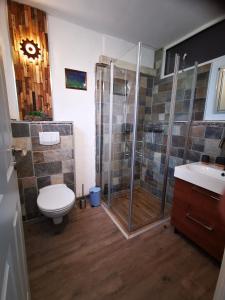 a bathroom with a shower and a toilet and a sink at Landhaus Messerschmitt in Böchingen