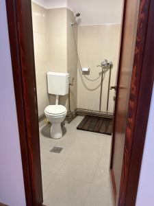 a bathroom with a toilet and a shower at Pensiune Daniela in Corbeni