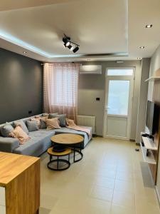 TV a/nebo společenská místnost v ubytování Apartman Novi Sad