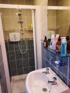 a bathroom with a sink and a shower at Butterhouse in Trim