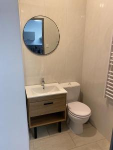 a bathroom with a sink and a toilet and a mirror at Maison Triplex à deux pas du centre ville in Saint-Dizier