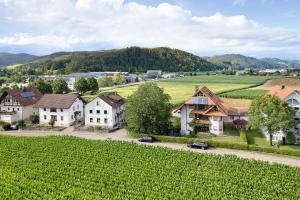 a village with houses and cars on a road at Ferienwohnung Emma in Gutach im Breisgau