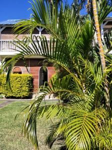 a group of palm trees in front of a house at KASPOZ Entire Holiday Home - Private garden & 5 mins walk to the beach in Mont Choisy