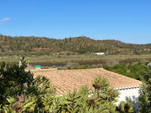a roof of a house with a mountain in the background at Quinta with orange and lemon trees in Silves