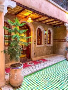 una casa con una pianta in vaso su un pavimento piastrellato di RIAD AMNAY a Taroudant