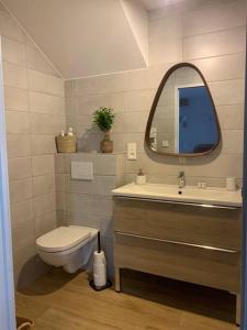 ein Badezimmer mit einem WC, einem Waschbecken und einem Spiegel in der Unterkunft Charmant studio 