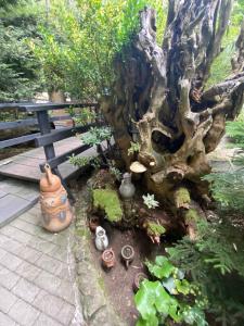 Zahrada ubytování Hotel Amigo II