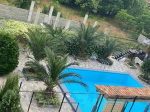 uma vista sobre uma piscina com palmeiras e cadeiras em Hotel Amigo II em Kobuleti