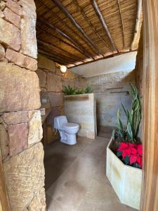 a bathroom with a toilet and flowers in a stone wall at El Principito Hospedaje in Barichara