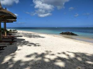 Náttúran í nágrenni sumarhússins