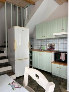 a kitchen with green cabinets and a white refrigerator at ELECTRA TRADITIONAL HOUSE in Alonnisos