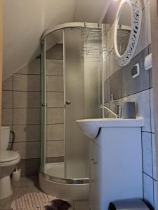 uma casa de banho com um chuveiro, um lavatório e um espelho. em Pokoje "U Ani" em Leśnica