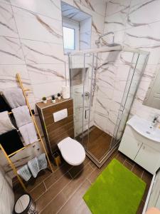 een badkamer met een douche, een toilet en een wastafel bij Apartman Novi Sad in Petrovaradin