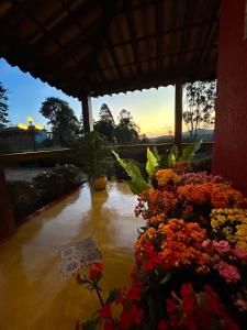 A Casa Vermelha Hospedaria外面的花园
