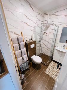 een badkamer met een douche, een toilet en een wastafel bij Apartman Novi Sad in Petrovaradin