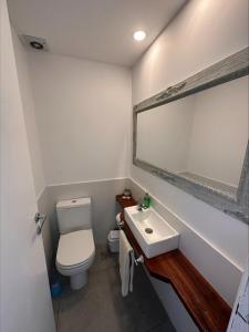 a bathroom with a toilet and a sink and a mirror at ALMAR III Sólo para familias in Mar del Plata