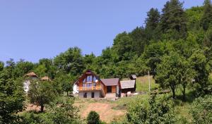 a house on top of a hill with trees at VILA ANÐELIJA Zaovine in Lazići
