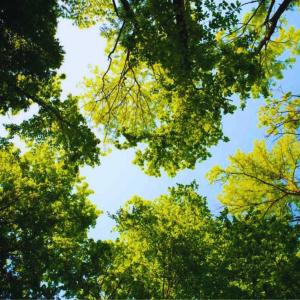 Příroda nedaleko prázdninového domu + 82 fotografií