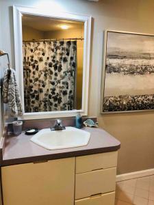 uma casa de banho com um lavatório e uma cortina de chuveiro em Casa de la Diosa: Stunning Oceanfront PentHouse in Garden City SC 4Bdr4Ba 