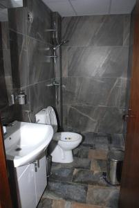 e bagno con servizi igienici, lavandino e doccia. di Dunavska Vila Milosavljevic a Donji Milanovac