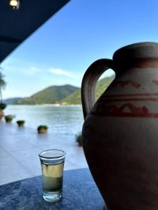 下米拉诺瓦茨Dunavska Vila Milosavljevic的相册照片