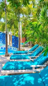 una fila de tumbonas azules en una playa con palmeras en Hotel Raices de la Guajira, en Santa Marta