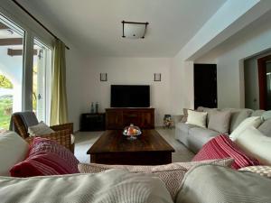 un soggiorno con divano e TV di Villa Sofia with garden, pool and lounge areas a Kolímbia