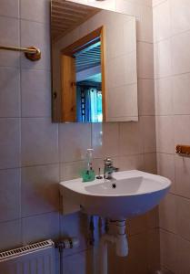 ein Badezimmer mit einem weißen Waschbecken und einem Spiegel in der Unterkunft Ekhems Gård in Förslöv