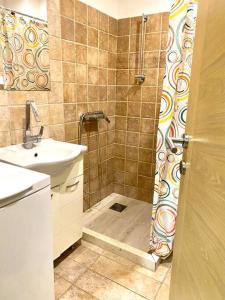 a bathroom with a shower and a sink at Buena Vista studio in Kotor