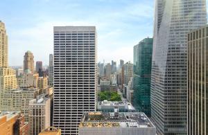 ニューヨークにあるOLD Luxury 5 Bedroom Apartment Near 5th Avenue Manhattanの高層ビル群を望む街並み