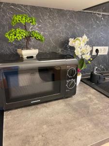 a microwave sitting on a kitchen counter with a plant at Queen's Studio Deluxe Mamaia Nord in Mamaia Nord
