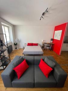 a living room with a couch with red pillows at En Salvy : hyper centre + parking gratuit in Albi
