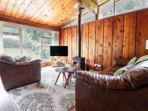 a living room with two leather couches and a fireplace at Chalet 2 in Machynlleth