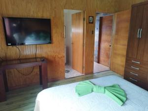 Un dormitorio con una cama con una pajarita verde. en Hostal Avareipua, en Hanga Roa