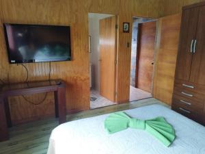 TV a/nebo společenská místnost v ubytování Hostal Avareipua